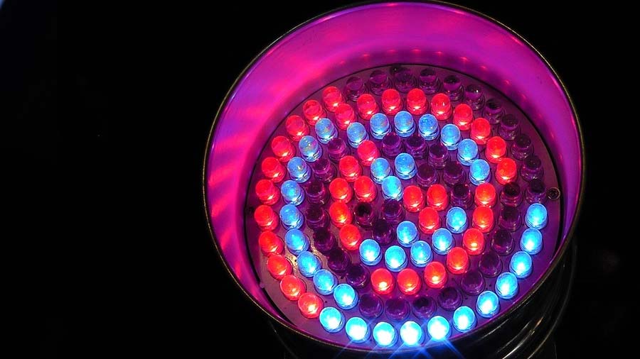 Leuchtdioden einer LED
